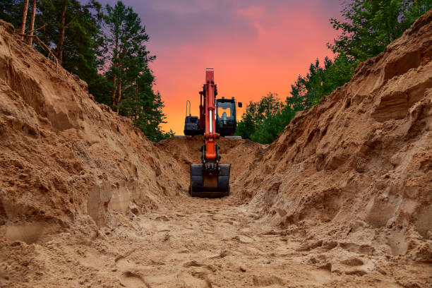 istockphoto 1287874597 612x612